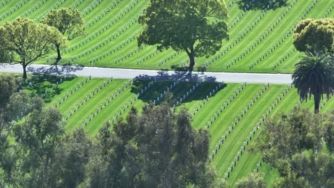 High Angle View of Headstone Rows at National Cemetery Stock Footage 330515541