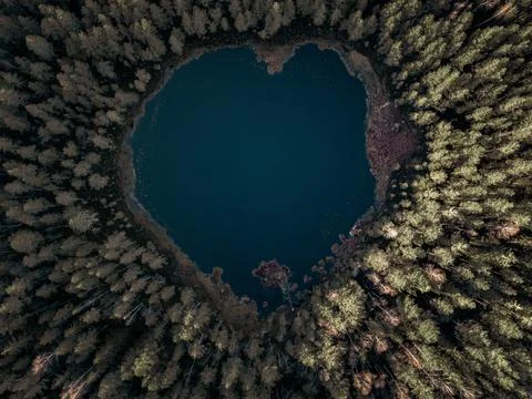 High angle view of heart-shaped pond in the middle of boreal forest. Stock Photos