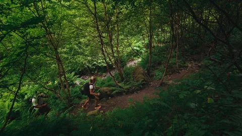High Angle View of Hikers on Forest Trail with Small River Stock Footage 333432287