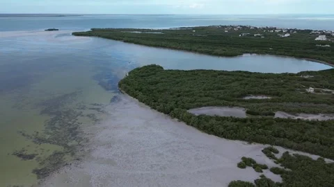 High angle view of Holbox Island's coastal edge, Mexico Stock Footage 331520043