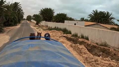 High-angle view of horse-drawn carriage in Djerba, Tunisia Видео 280878017
