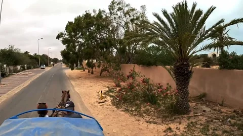 High-angle view of horse-drawn carriage with coach and tourist 库存影片 280878070