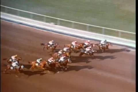 High angle view of  horse race 動画素材 25207858