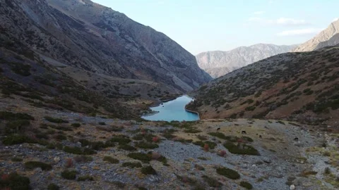 High angle view of horses grazing near turquoise mountain lake in autumn valley Видео 334326766