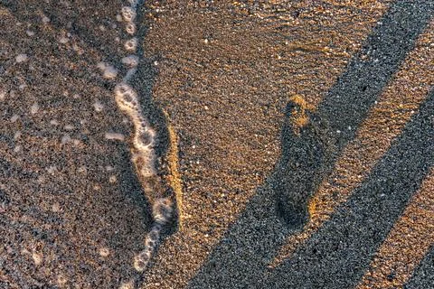 High angle view of human footprint on wet sand washed by sea wave Stock Photos