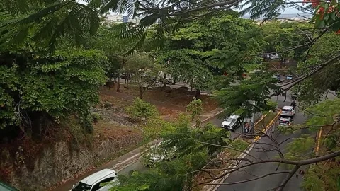 High angle view of Italia Ave throught trees Vídeos de archivo 346245127
