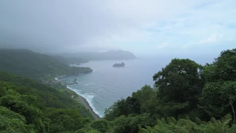 High angle view of Izu Peninsula on a moody day Stock Footage 315011428