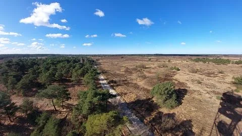 High angle view of Kalmthoutse Heide nature reserve in Kalmthout, Belgium Stock Photos