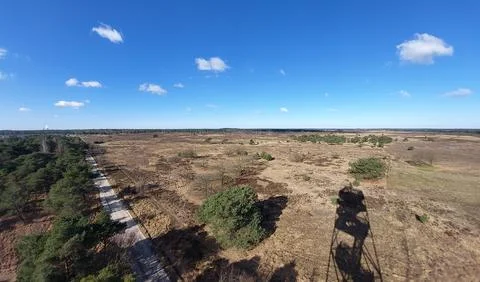 High angle view of Kalmthoutse Heide nature reserve in Kalmthout, Belgium Stock Photos