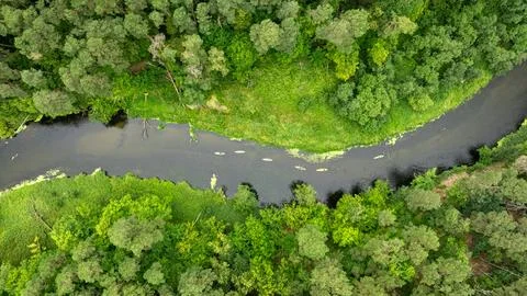 High-angle view of kayaking on a wild summer river. Stock Photos