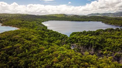 High angle view of lagoon surrounded by jungle in tropics 스톡 사진