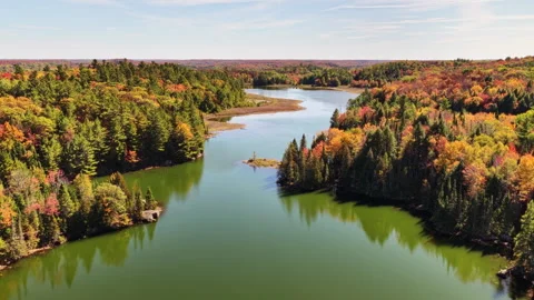 High angle view of a lake and forest in autumn Stock Footage 319044525