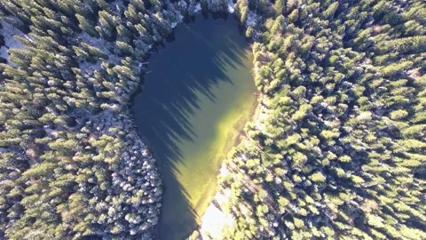 High angle view of lake surrounded by conifer forest Stock Footage 256212450