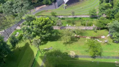 High angle view of landscape garden with green lawn and winding paths. Stock Footage 320502907