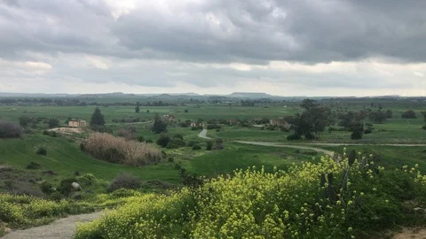 High Angle View of a Landscape with Trees and Wild Vegetation Stock Footage 102620702