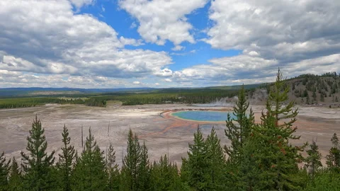 High-angle view of a large, colorful geothermal spring surrounded by pine tree 8 Stock-Footage 343300513