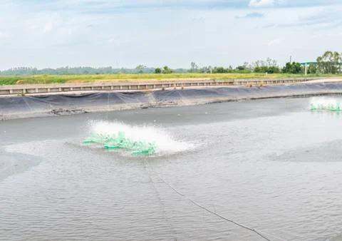 High-angle view of a large commercial fish farm pond with artificial aerati.. Stock Photos