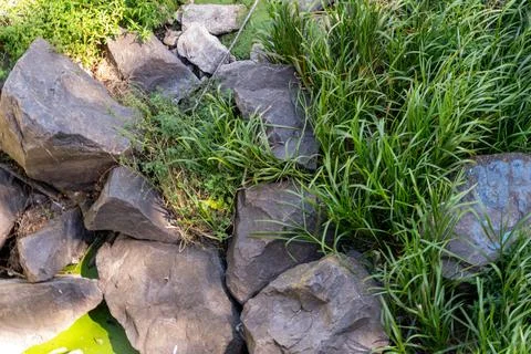 High angle view of large dark stones and green grass on river bank Stock Photos