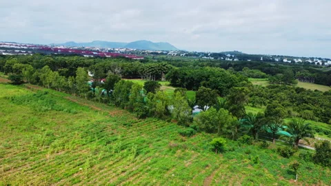 High angle view of a large plot of green farmland on a sunny day in Nigeria Video stock 320442307