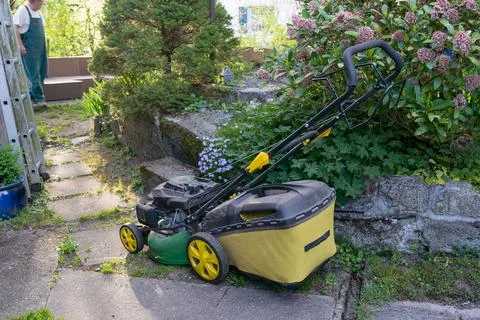 High angle view of lawnmower on stone path between spring flowers. Foto stock