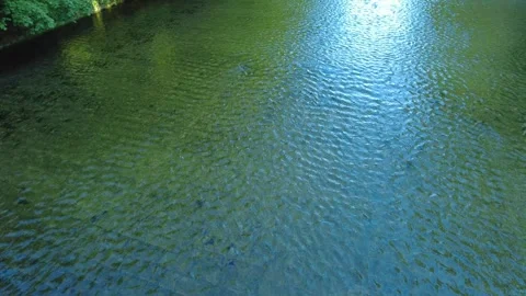 High angle view of Limmat river with water ripple and weir in Zurich Stock Footage 334082176
