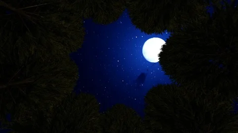 High-angle view looking up to the moon between giant trees Stock Footage 86891620