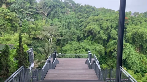 High angle view of a lush green valley . Stock Footage 320478782