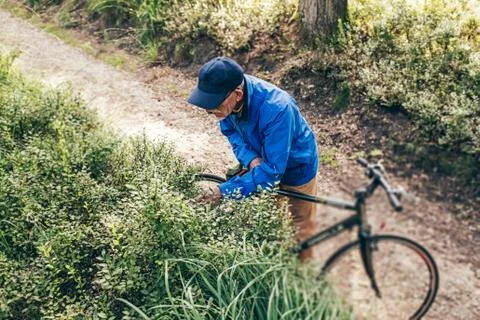 High angle view of man with bicycle standing on trail observing bushes. Stock Photos