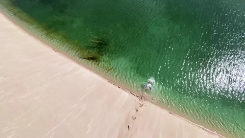 High Angle View of Man Diving into Turquoise Lagoon in Lencois Maranhenses Stock Footage 327606423