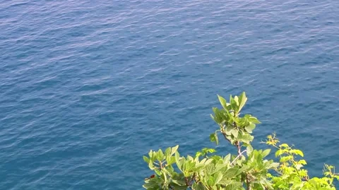 High angle view Mediterranean sea in summer Stock Footage 135385014