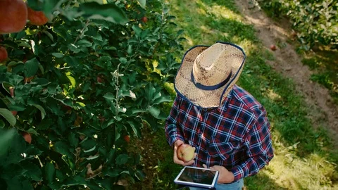 High angle view on modern farmer with digital tablet Stock Footage 117421786