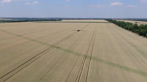 High angle view on a modern self propelled sprayer on a big wheat field Stock Footage 138138730