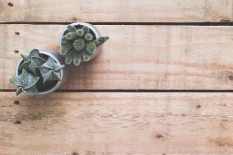 High angle view of modern workplace desk. Wooden desk with small cactus plant Stock Photos