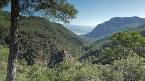 High angle view of mountain ridge overlooking sea coast with a pine tree Stock Footage 58888284