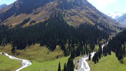 High angle view of mountain rivers merging around dense spruce forest in valley Stock Footage 335647305