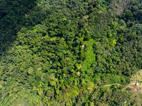 High angle view mountains rainforest green background. Stock-Fotos