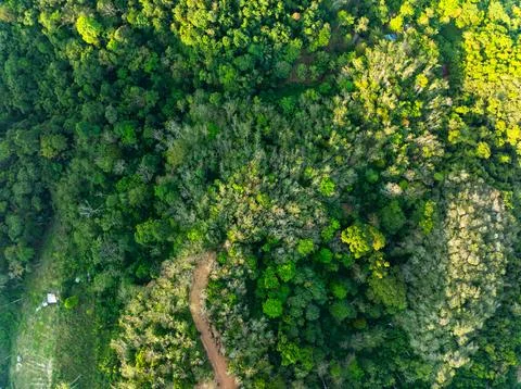 High angle view mountains rainforest green background Stock Photos