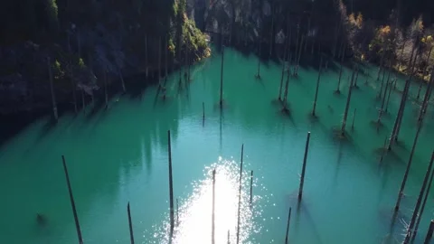 High angle view of mystical turquoise lake with submerged trees. Kaindy Lake 库存影片 334326710