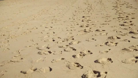 High angle view of numerous footprints scattered across a sandy beach. Видео 318241136