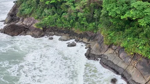 High Angle View of Ocean Waves Crashing Against Rocky Coastline and Jungle Stock-Footage 347222148