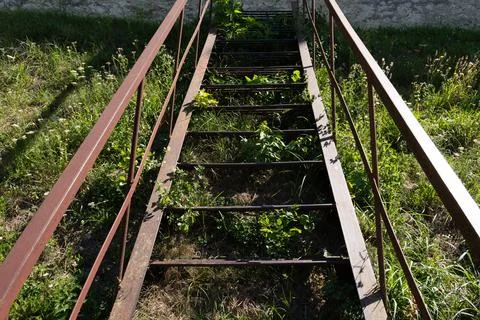 High angle view of old rusty metal ladder overgrown with green grass Stock Photos