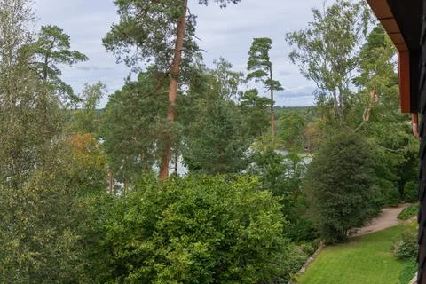 A high angle view overlooking a lush Finnish forest with towering pine trees, Stock Photos