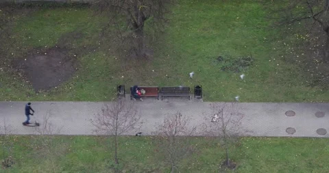 High-angle view of park bench as scooter passes; pigeons burst into flight. Stock Footage 320169921