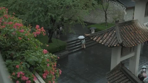 High-Angle View of Park Visitors.Shot in Shenzhen, China on September 20, 2025 Stock-Footage 317523427