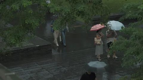 High-Angle View of Park Visitors.Shot in Shenzhen, China on September 20, 2025 Stockbeeldmateriaal 317523579