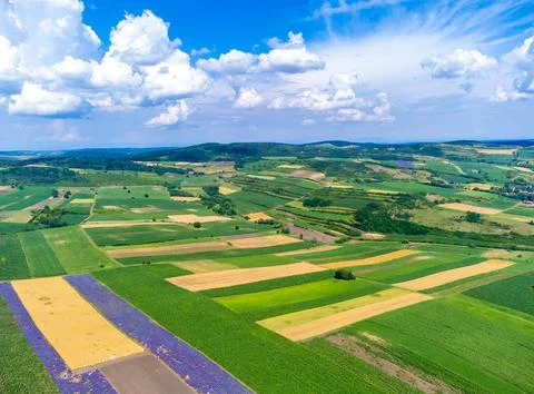 A high-angle view of patchwork farmland fields 库存照片