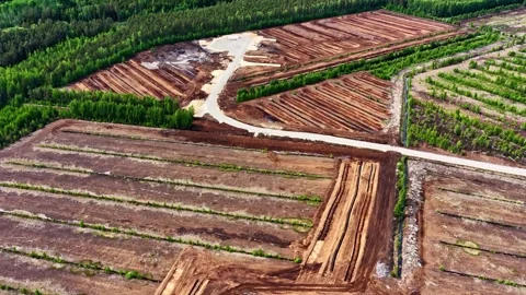 High angle view of peatland exploitation with visible soil removal patterns 動画素材 332763210