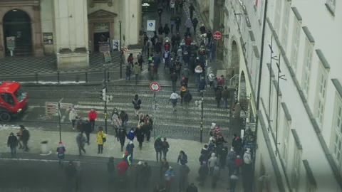 High angle view of people crossing a street Stock Footage 217369395