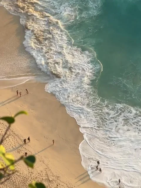 High-Angle View of People Walking on Sandy Beach with Crashing Waves Video stock 341840823