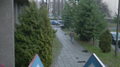 High angle view of a person walking along a path Stock Footage 343098570